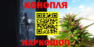 винт Бердск