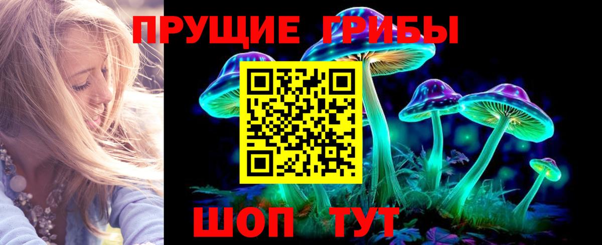 Астрахань  Галлюциногенные грибы мухоморы  Галлюциногенные грибы MAGIC MUSHROOMS  Вход с VPN 